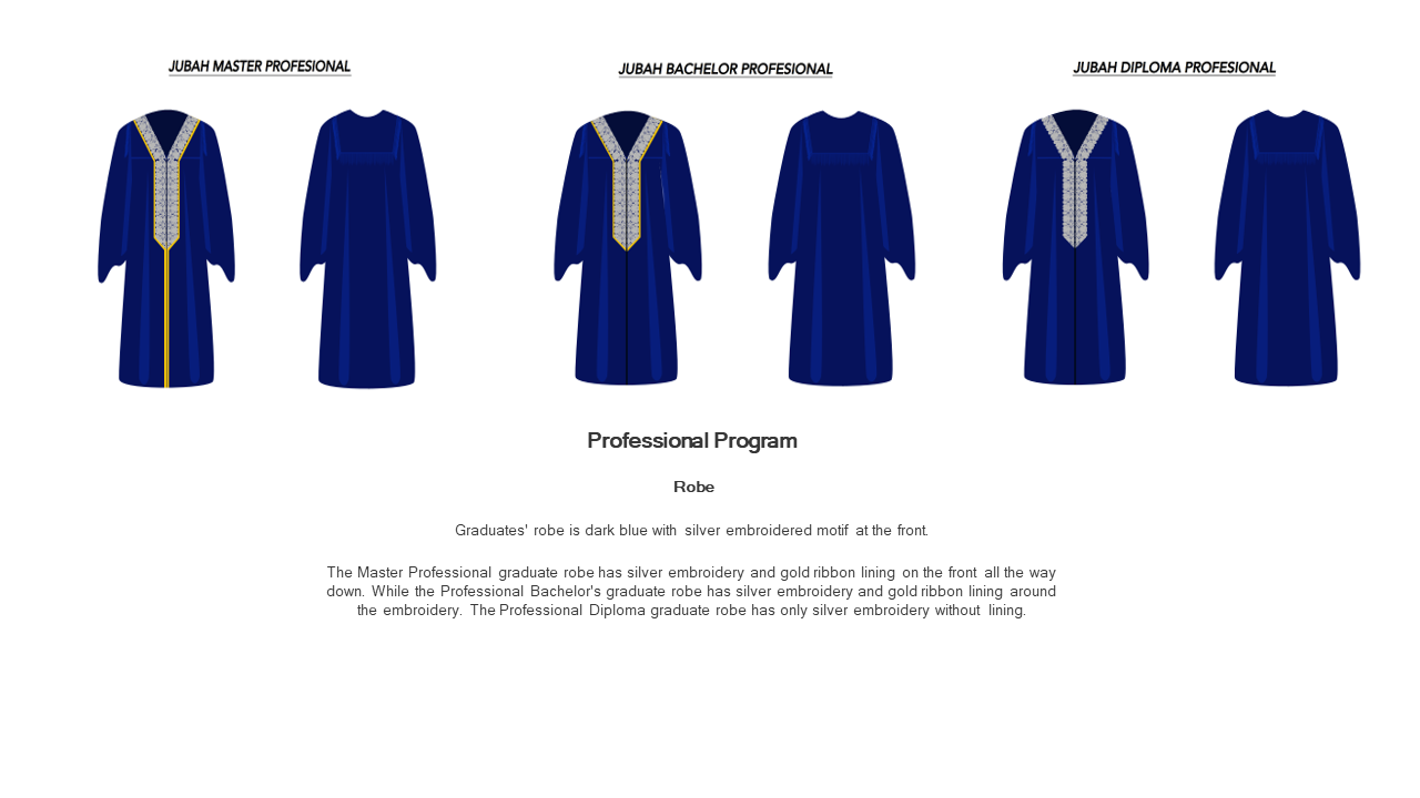 Bachelor Of Engineering Robe